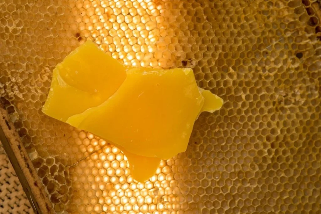 difference between beeswax and honey